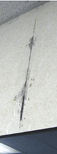 mold