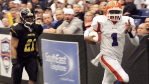 Hammer QB scores