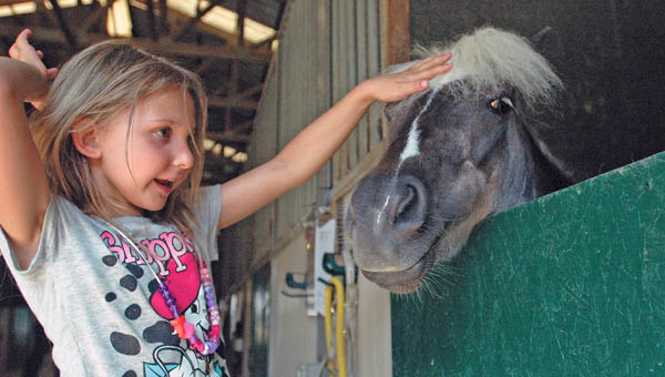 horse park 1