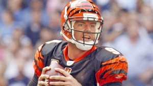 Carson Palmer web