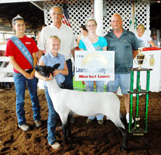 LGgrand lamb