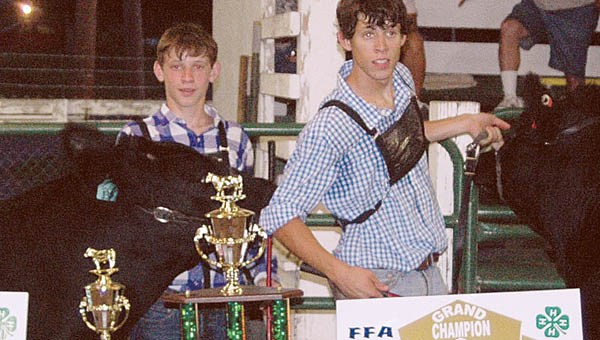 grand reserve steer