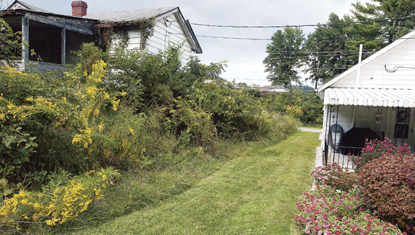 neglected yard 1