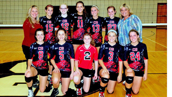 CG volleyball on web