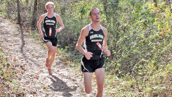 FHS runners on web