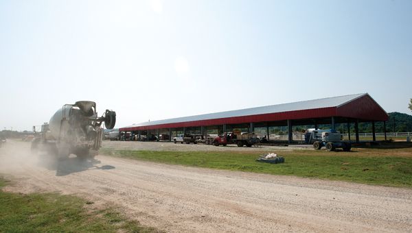 new barn 1