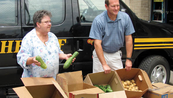 Farm Crop 4