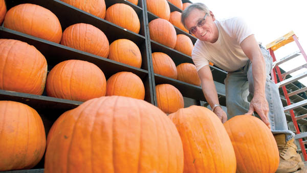 pumpkin house 1