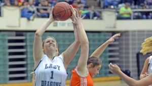 Fairland Lady Dragons' 6-4 junior center Terra Stapleton was named the Associated Press Division III Co-Player of the Year. (Kent Sanborn of Southern Ohio Sports Photos.com)