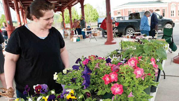 Jill Banks browses through a selection of flowers available for sale at the Ironton Farmers Market Saturday morning. The market is located along South Second Street in downtown Ironton.