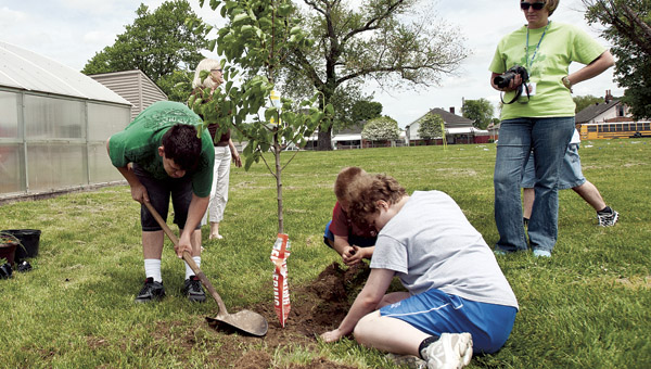 Students from The Open Door School put a flowering pear tree in the ground at the school during a tree planting event Thursday.