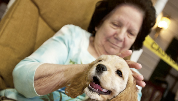 Jo Ann Porter keeps a soft but firm hold of a cocker spaniel puppy as she pets the dog during a pet therapy visit at Morning Pointe Ridge senior living facility Friday.