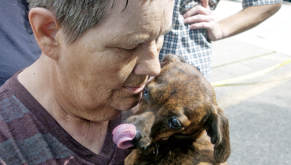 Cyndi Combs of Ironton plays with a mixed-breed dachshund at the pet adoption at the Briggs Lawrence Library on Monday.