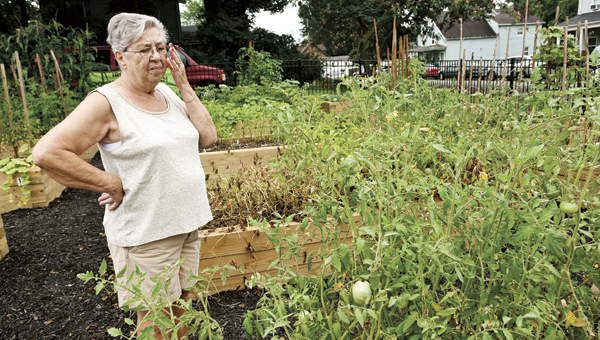 Rosemary Joseph adjusts her glasses as she looks down at nearly empty plots at the Ironton Community Garden late Wednesday morning.