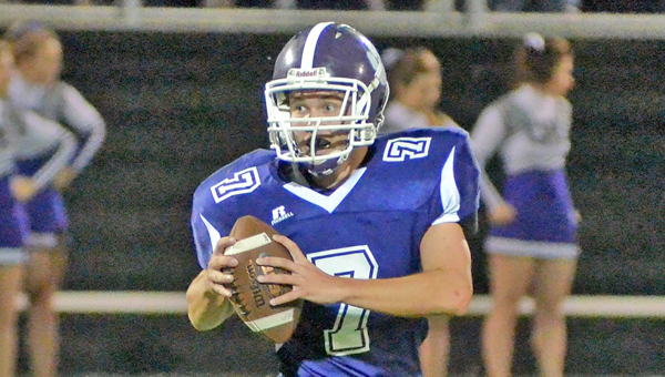 Chesapeake Panthers’ quarterback Austin Stone is one of many first-year starters this season. Inexperience will play a key role as the Panthers play the Symmes Valley Vikings on Friday. (Kent Sanborn Of Southern Ohio Sports Photos.com)