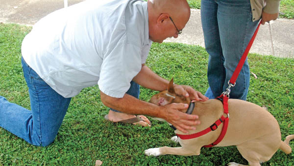 Terry Jones, pastor of Resurrection Hope United Methodist Church, blesses Brady at the second annual pet blessing at the church.