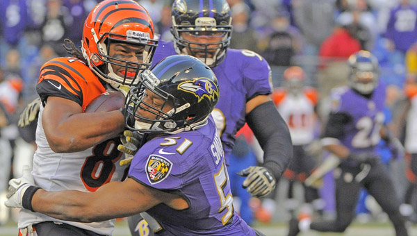 Daryl Smith (51) of the Baltimore Ravens stops Alex Smith (81) of the Cincinnati Bengals on a gain of two yards during overtime at M&T Bank Stadium in Baltimore on Sunday. The Ravens won, 20-17 in overtime. (MCT DIRECT PHOTO)