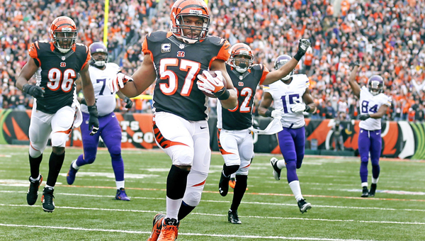 Cincinnati Bengals middle linebacker Vincent Rey (57) returned a 27-yard interception in the second quarter against the Minnesota Vikings at Paul Brown Stadium in Cincinnati on Sunday. The Bengals beat the Vikings, 42-14. (MCT Direct Photo)