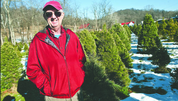 Tom Pinkerman, of Proctorville, is seen amongst his rows of Christmas trees at his business located off of State Route 775.