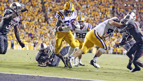 Former LSU running back Jeremy Hill (33) leads a group of drafted backs for the Cincinnati Bengals. (MCT Direct Photos)