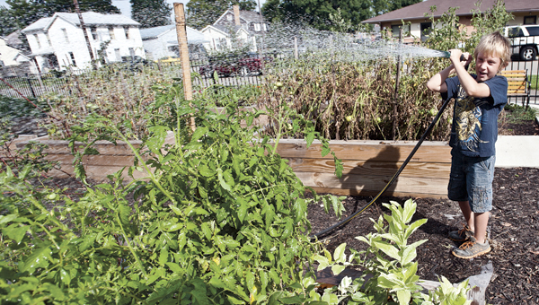 THE TRIBUNE/JESSICA ST JAMES Nine-year-old Devlin Morton, of Ironton, waters the garden that he helped grow this summer through, Youth Empowerment Activities organization, at the site of the Ironton Community Garden located along South Seventh Street. Items grown were tomatoes, blueberries and a lemon tree.