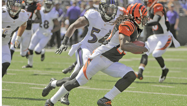 Cincinnati Bengals' Adam Jones runs a return for 45 yards past Baltimore Ravens' Zach Orr (54) during the first quarter on Sunday at M&T Bank Stadium in Baltimore. The Bengals beat the Ravens 23-16. (MCT DIrect Photo)