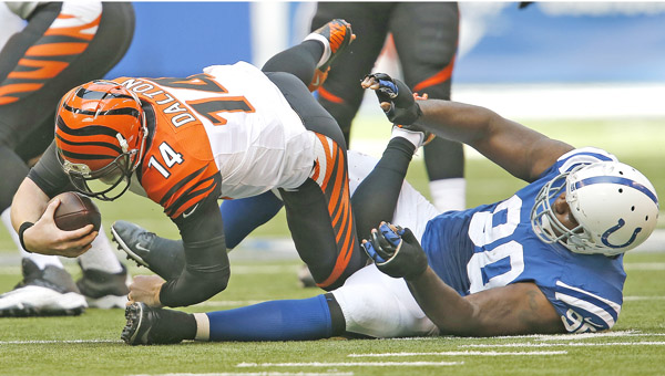 Cincinnati Bengals quarterback Andy Dalton (14) is sacked by Indianapolis Colts defensive end Cory Redding (90) during the first half on Sunday at Lucas Oil Stadium in Indianapolis. The Colts won 27-0. (Sam Riche/MCT)