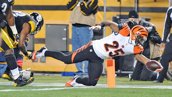 Cincinnati Bengals' running back Giovani Bernard (25) dives into the into end zone to score a first quarter touchdown on a 17-yard pass play. The Bengals lost to the Pittsburgh Steelers 27-17 on Sunday and lost the division title. (Courtesy of the Cincinnati Bengals.com)