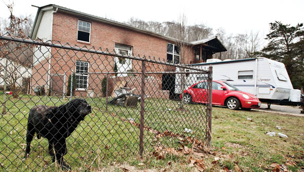 A dog watches inside the gated yard of what used to be his home, located of Hillview Lane, following a fire on Tuesday.