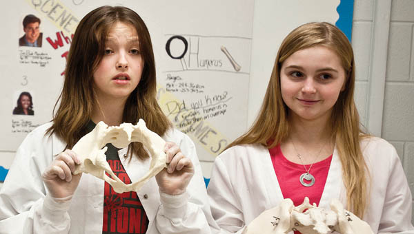 Sophomore students Destiny Smith, left, and Darby McCloud, right, review the differences between male and female pelvic bones during an open house evening for Project Lead the Way.