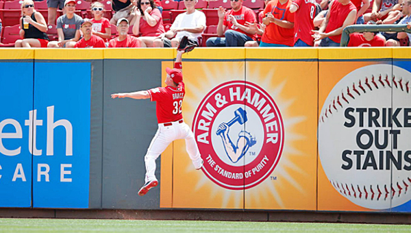 Cincinnati rightfielder Jay Bruce makes a leaping catch against the wall during the second inning of Wednesday’s game against the Colorado Rockies. The Reds lost to the Rockies 6-4. (Photo Courtesy of The Cincinnati Reds)