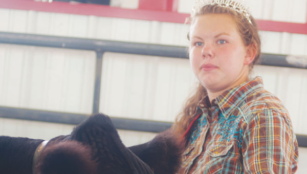 Kaylee Cade with her grand champion market steer during the large animal auction Saturday at the Lawrence County Fair.