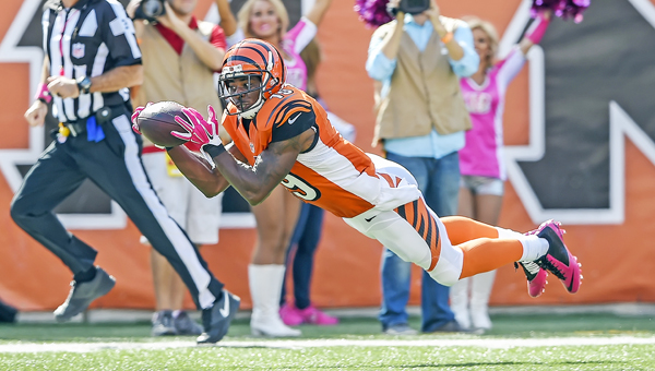 Cincinnati Bengals wide receiver Brandon Tate (19) stretches out for a 55-yard touchdown pass during the third quarter on Sunday, at Paul Brown Stadium in Cincinnati. The Bengals won 36-21. (MCT Direct Photos.com)