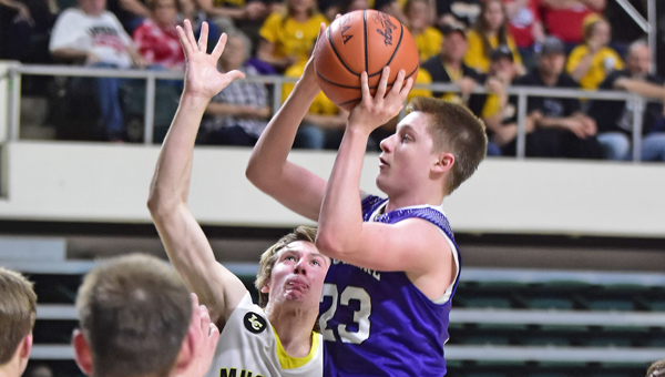 Chesapeake Panthers' senior guard Gage Rhoades was named to the Associated Press Division III basketball first team to lead six area players who were honored. (Kent Sanborn of Southern Ohio Sports Photos.com)