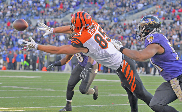 Cincinnati Bengals’ tight end Tyler Eifert (85) reaches to make a diving catch against the Baltimore Ravens. Eifert was injured last year and will not be available for the team’s minicamp. (MCT Direct Photos)
