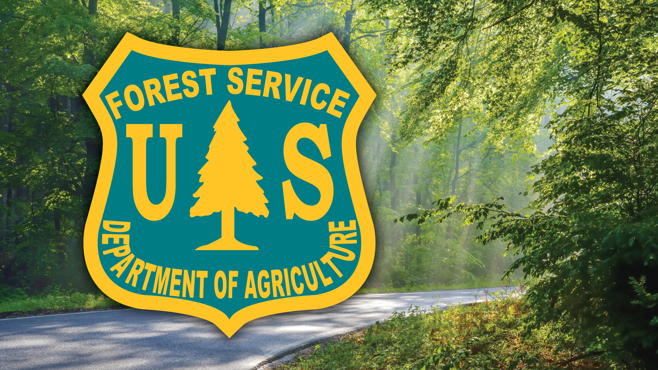 Wayne National Forest Trail passes now available for online purchase