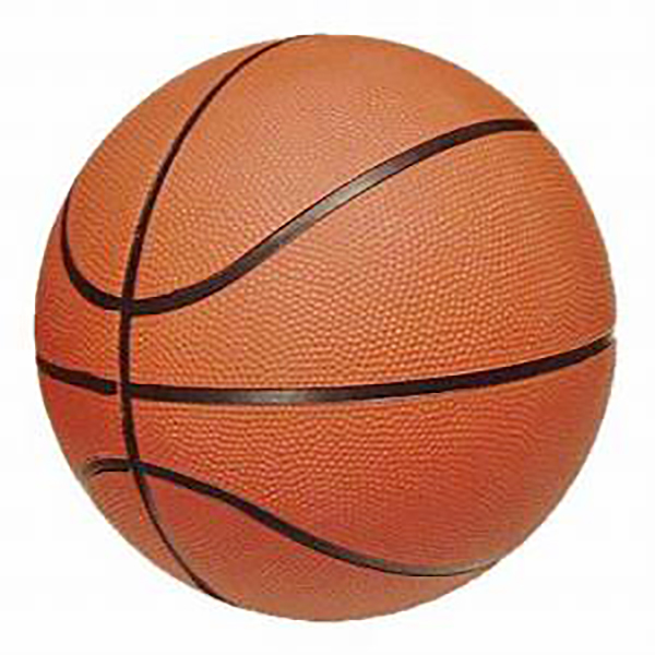 IMS baseball plans youth basketball tournament | The Tribune