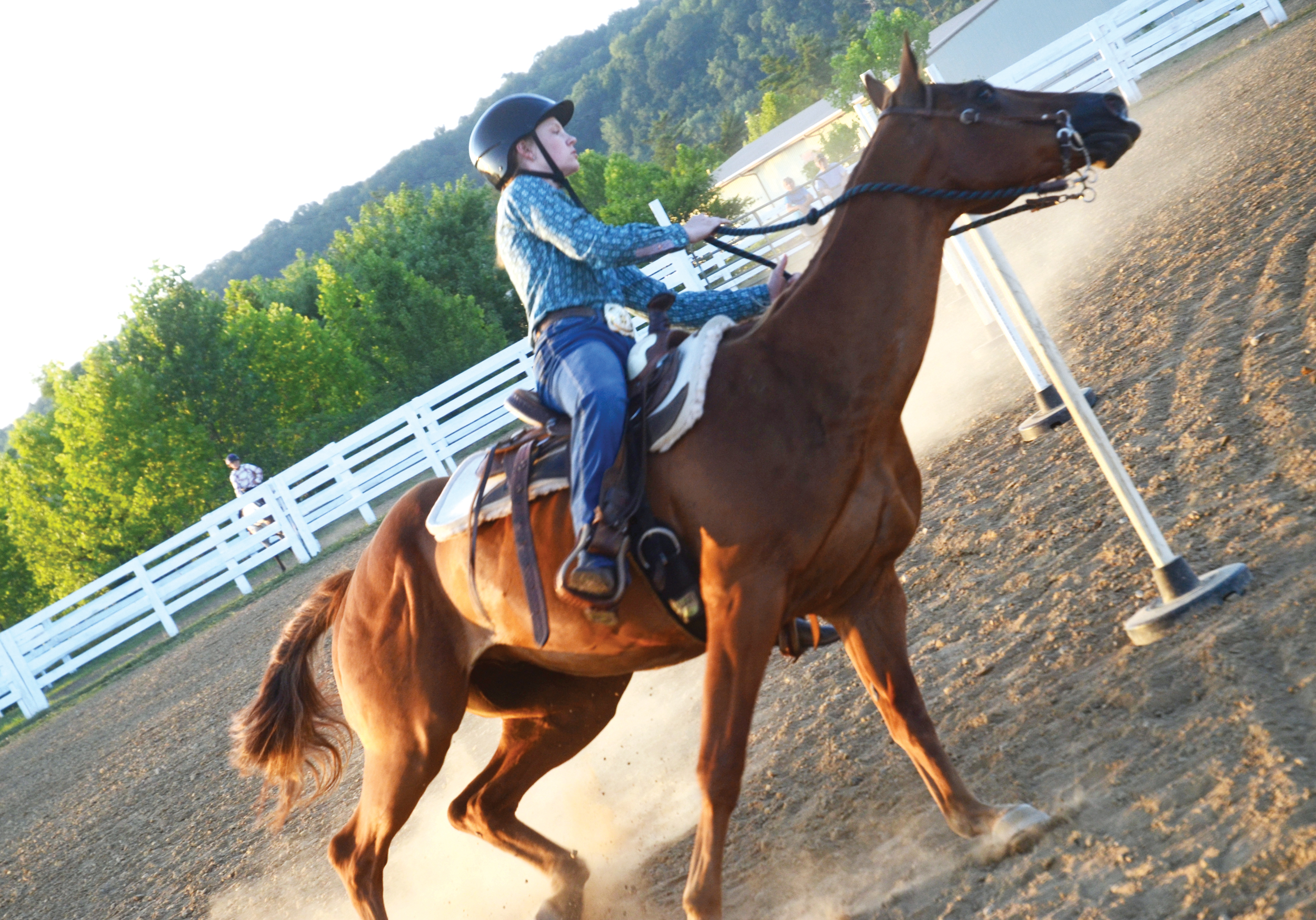Horse show starts fair week events The Tribune The Tribune