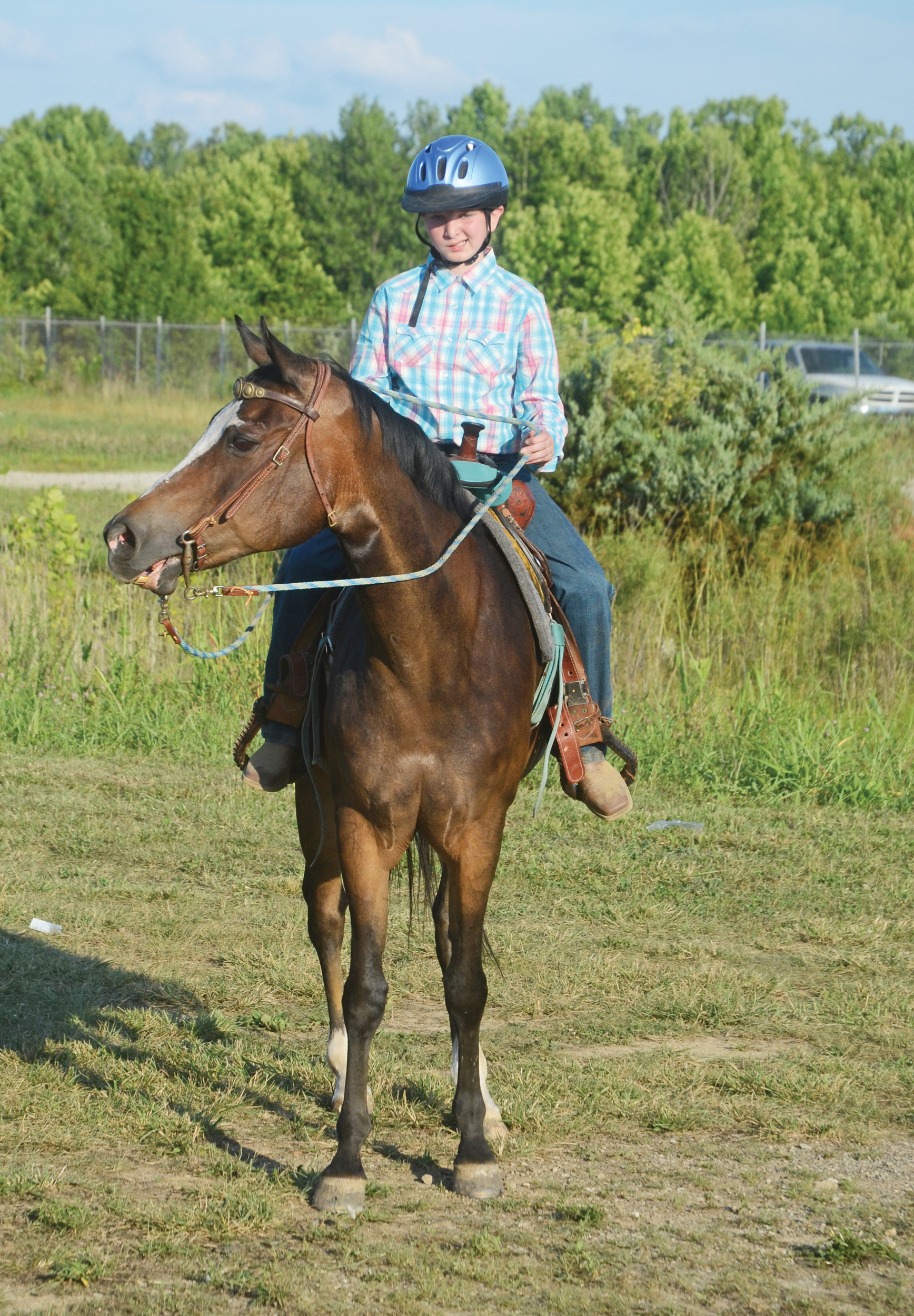 Horse show starts fair week events The Tribune The Tribune