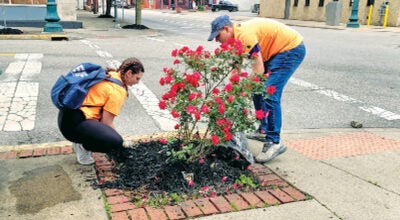 Students from St. Joseph High School spent part of Friday cleaning up the sidewalks and putting down mulch as part of a community service project. They have done the cleanup in preparation for the Ironton-Lawrence County Memorial Day Parade for the past 20 years. (Ironton Tribune | Mark Shaffer)